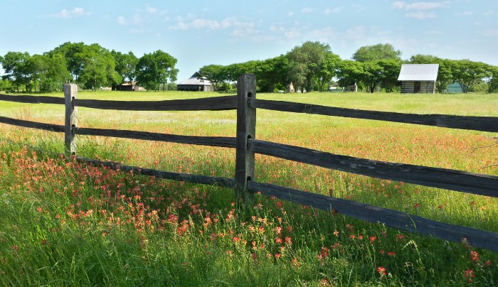 20150415_101827_Richtone(HDR)2