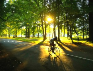 sunrise cycling