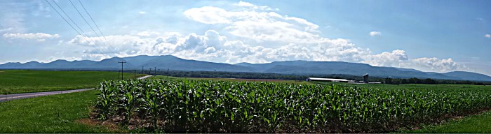 pano farmland2