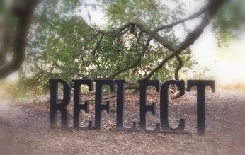 2017 reflect c