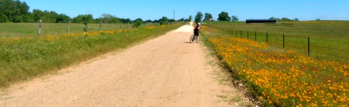 gravel and flowers