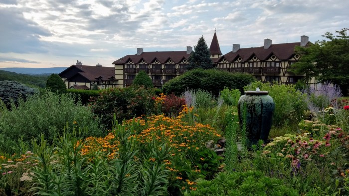 IMG_20170712_073414339_HDR